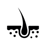 hair https://azalea.7thblock.dev/wp-content/uploads/2023/06/hair-160x160.png