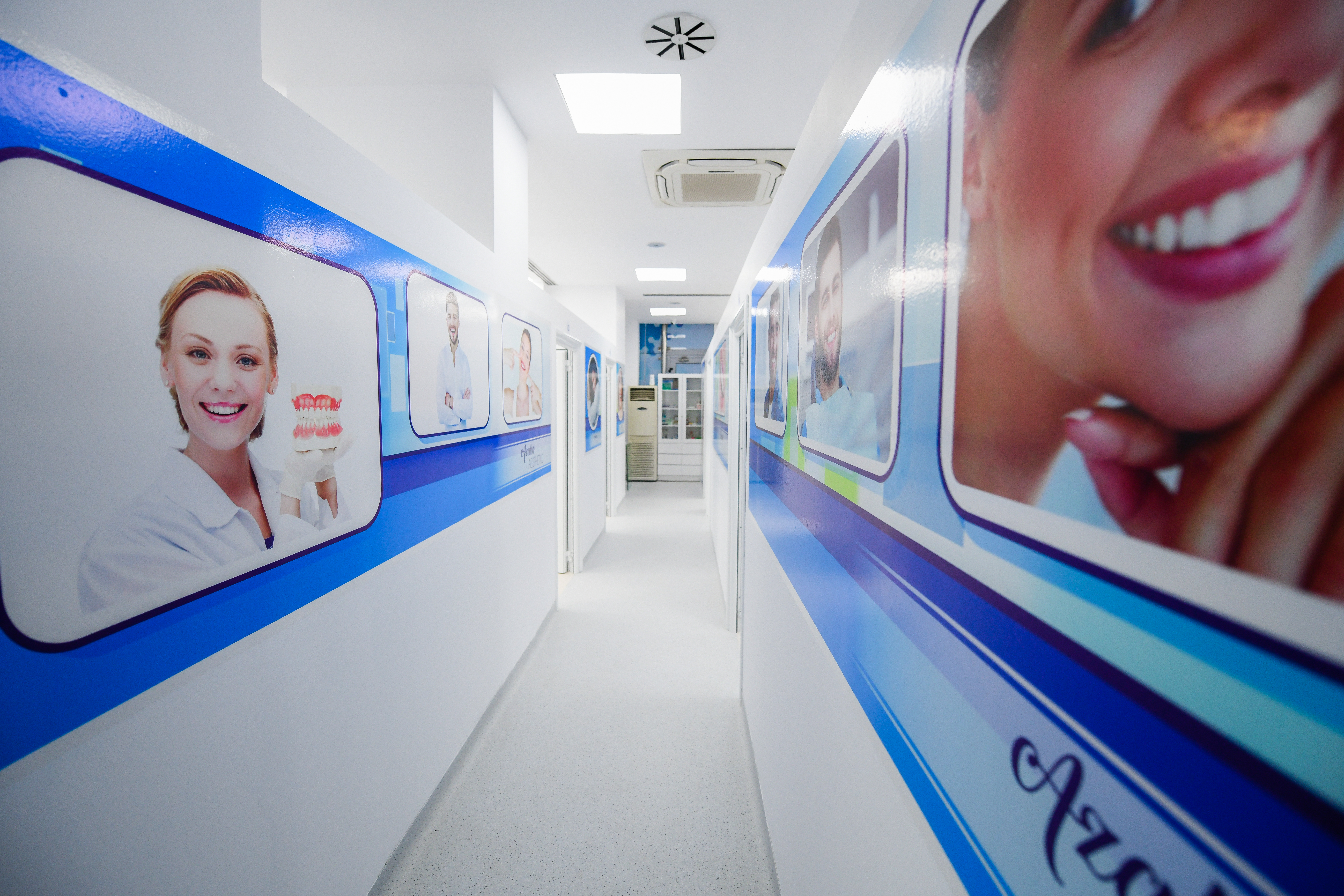 DSC_5659 https://azalea.7thblock.dev/wp-content/uploads/2023/11/DSC_5659-1.jpg